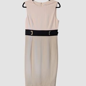 Calvin Klein Colorblock Sheath Dress 10 Blush Beige Black Buckle Career